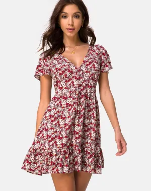 Laily Skater Dress in Floral Charm Red